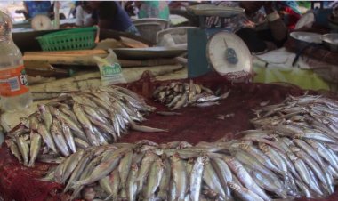 Rubavu: Kuroba imigara, intandaro yo gutumbagira  kw’ibiciro ku isoko