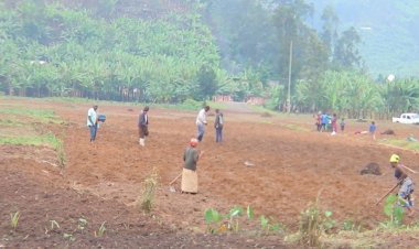 Gakenke:Abahinzi bo mu murenge wa Mugunga baravuga ko batarabona imbuto mugihe igihembwe cy’ihinga cyatangiye.