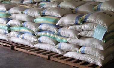 Abahinzi barasaba ko hakorwa ubushakashatsi bwimbitse ku miti ikoreshwa mu guhungira imyaka.