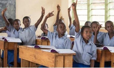 A new program to enroll school dropouts is underway 