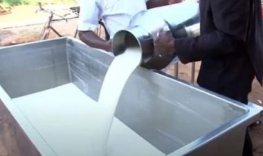 Musanze:Abagemura amata ku ikusanyirizo baravuga ko batishyurwa amafaranga yabo.