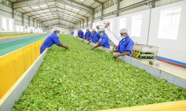 Ubukungu bw'u Rwanda mu gihembwe cya 3 bwarazamutse