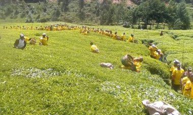 Nyaruguru: Kutagira amasezerano y’akazi bigira ingaruka ku bakoreye impanuka mu ruganda.