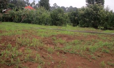 Burera: Abaturage bo mu murenge wa Rugarama bahangayikishijwe n'insinga zirimo umuriro ziri hasi