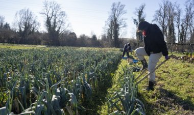 Négociations entre industriels et grandes surfaces: hausse des prix d'"environ 10%" en perspective
