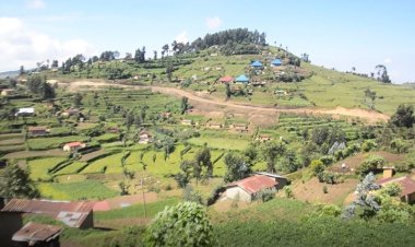 Nyabihu - Arusha : Abaturage bagiye batanga amafaranga ngo bahabwe umuriro ntiwabagezeho