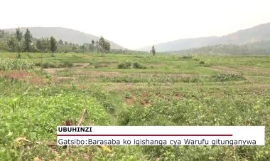 Gatsibo: Abahinga mu gishanga cya Manishya kizwi nka Warufu barasaba ko gitunganywa neza