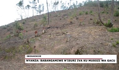 Nyanza: Abaturage babangamiwe n'isuri iva ku musozi wa Gacu