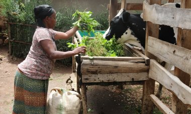 Kongera umukamo biciye mu kurwanya amakimbirane mu ngo