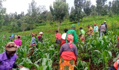 Abahinzi n’aborozi bagiye guhabwa inguzanyo ku nyungu ya 8%