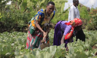 Hakenewe imishinga rusange y'ikitegererezo ibyara inyungu muri buri mudugudu