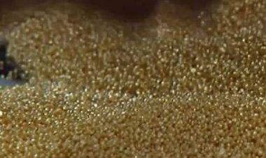 Umubare w’abagore bakora ubucukuzi bw’amabuye y’agaciro uracyari muto