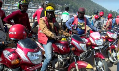 Transporters are suspected of human trafficking