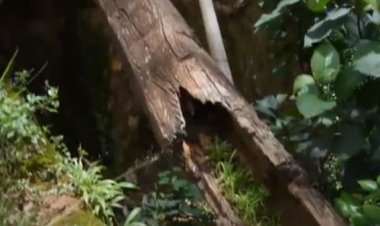 Nyamagabe: Iyangirika ry'imihanda rituma banyura mu turere dutatu ngo bagere ku biro by’akarere kabo!