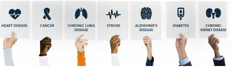 Health Authorities Urged to Have an Impact on Addressing Chronic Diseases