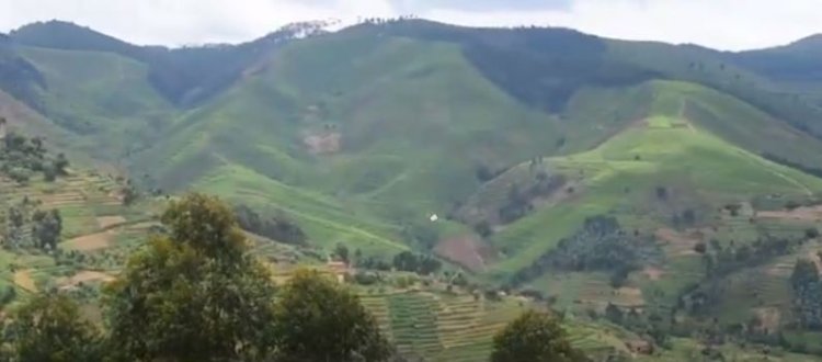 Nyamagabe: Gukorana n'ibigo by'imari byatumye bahindura imikorere