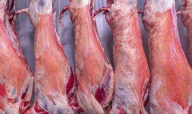 Butchers stopped selling sheep meat