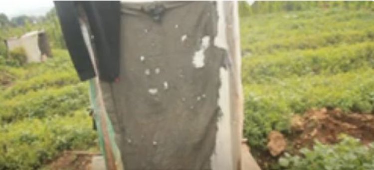 Rubavu: Barataka indwara bakura mu bwiherero bwubakishije amahema n'imifuka bishaje