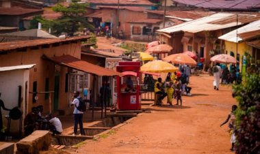 Committed to helping others overcome family conflicts