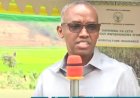 Basabwe kumenyesha MINAGRI ikigo cy’ubwishingizi kizajya kitubahirije amasezerano