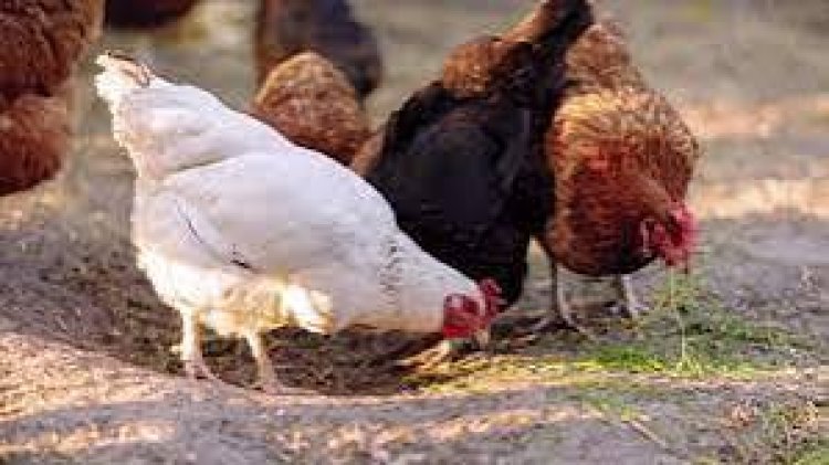 Barashima umushinga wa PRISM wahinduye ubuzima bw’abatishoboye