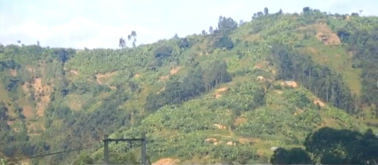 Gakenke- Busengo: Bahangayikishijwe no gusoreshwa ubutaka bwashyizwe mu manegeka