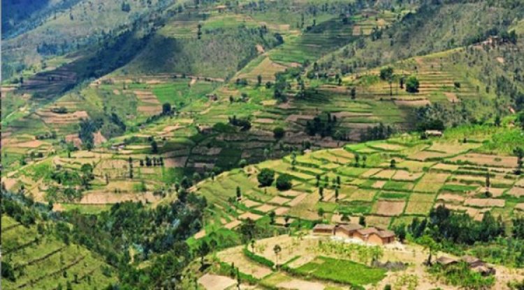 Amajyaruguru: Ubutaka ibihumbi 200 ntibwanditswe kuri bene bwo