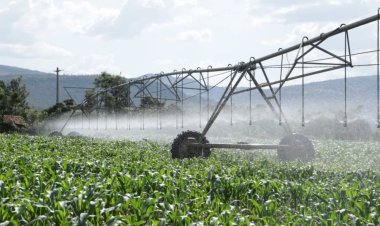 Asaga miliyari 6.4 Frw agiye gushorwa mu buhinzi n’ubworozi