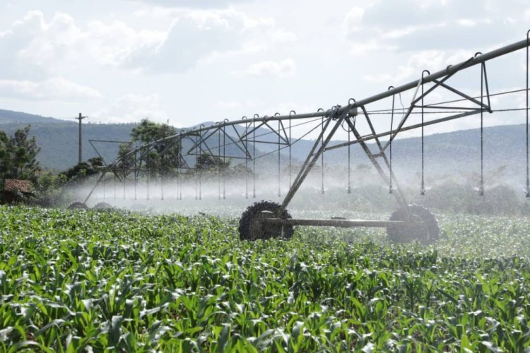 Asaga miliyari 6.4 Frw agiye gushorwa mu buhinzi n’ubworozi