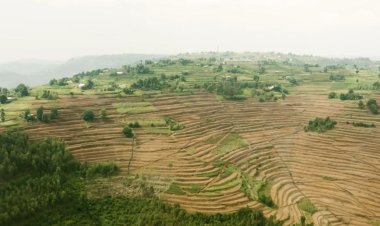 Nyaruguru:Barashima ubufasha bahawe bakabona umusaruro