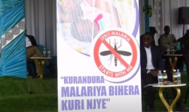 U Rwanda rwashimiwe intambwe rwateye mu kurwanya Malaria
