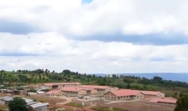 Kirehe: Ahari ishyamba hubatswe ishuli ry’imyuga rihindura byinshi.