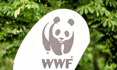 Uburusiya bwahagaritse ibikorwa by'imiryango itegamiye kuri Leta wita ku bidukikije ‘WWF’.