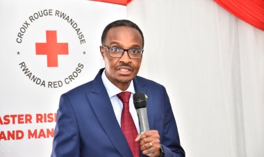 MINEMA irasaba buri wese gutera ibiti no kubibungabunga nk'ibikumira umuyaga