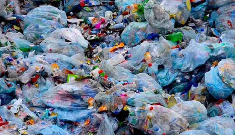 Amashashi na Pulasitiki: Ibyari imyanda byahindutse imari