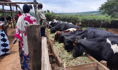 Amafaranga yagenewe ubworozi kuba ari macye biteye impungenge