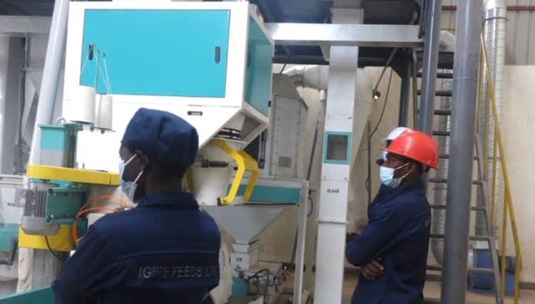 Mu myaka 7 RSB irishimira ibyo inganda nto n'iziciriritse zagezeho