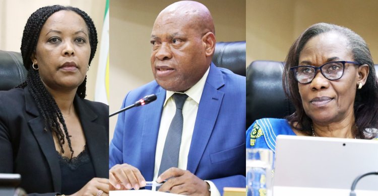 Abasenateri, mu nteko ishinga amategeko y'u Rwanda bashyigikiye kuzana abimukira mu Rwanda