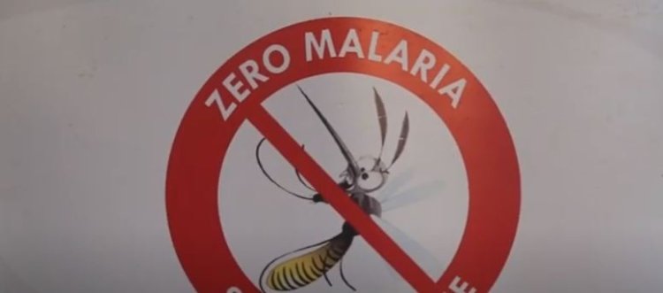 Gutanga inzitiramibu mu byiciro byibasirwa na Malaria byagabanyije umubare w'abayirwara