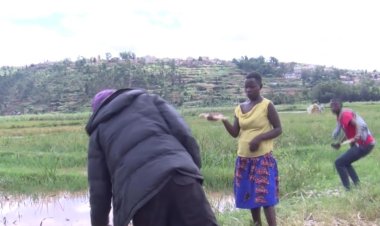 Abahinga mu gishanga cya Nyabugogo - Gatsata barasaba ingurane ku myaka yabo