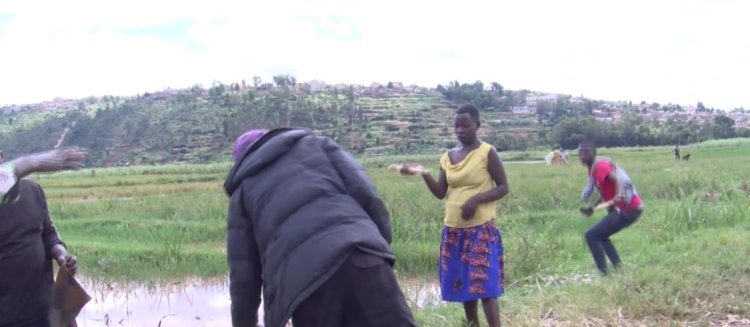 Abahinga mu gishanga cya Nyabugogo - Gatsata barasaba ingurane ku myaka yabo