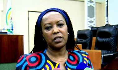 Umubare mwinshi siwo watuma Abadepite batanga umusaruro neza - Hon. Nyirasafari Esperance