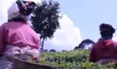 Nyamagabe: Barashima ko bakuriweho imbogamizi mu kazi zaterwaga n’imiterere y’imibiri yabo