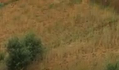 BURERA: Barataka igihombo batewe n’izuba ryabiciye imyaka