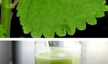 Ababyeyi babyaye n’abonsa barasabwa kutivurisha imiti gakondo irimo ibyatsi