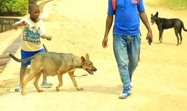 Kurumwa n'imbwa ntiwihutire kujya kwa muganga bishobora kugeza ku rupfu