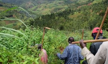 Huye:  Abahinzi barishimira umusaruro w'ubuhinzi butabasaba guhinga intabire
