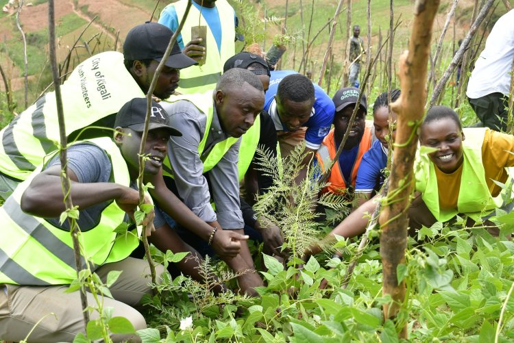 Hari bamwe mu babyeyi batarasobanukirwa neza inshingano z'urubyiruko rw’abakorerabushake