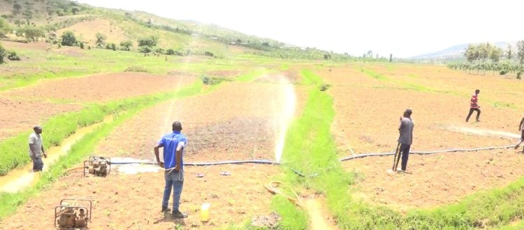 Iburasirazuba: Hari abazi ko ubwishingizi bw’ibihingwa n’amatungo bureba gusa abakire