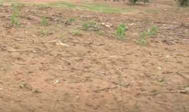 Kayonza: Ndego barabaza aho umushinga wo kuhira waheze